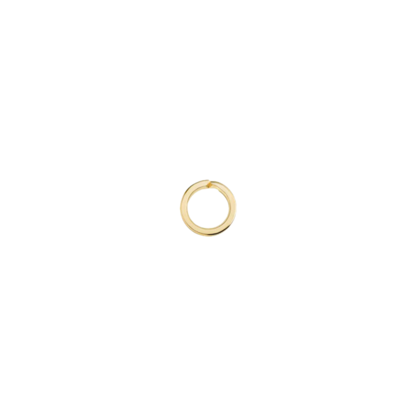 CHIUSURA ANELLO BRISE'